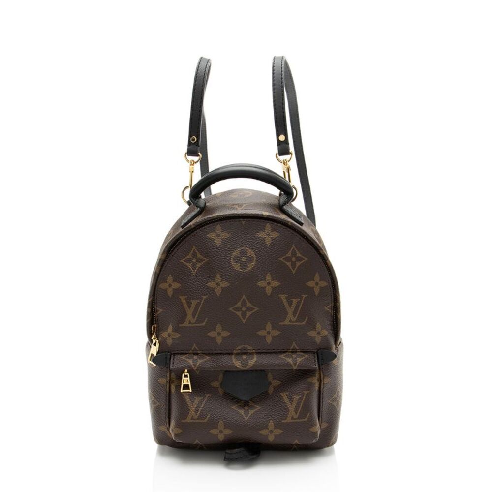 Louis Vuitton Monogram Canvas Palm Springs Mini Backpack